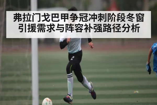 弗拉门戈巴甲争冠冲刺阶段冬窗引援需求与阵容补强路径分析 - kaiyun
