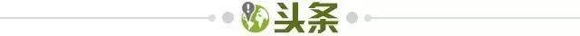ab66f6c2-2832-450b-a640-b7b03d0cc01b.jpg@!img01